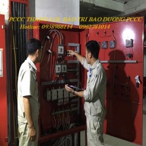 BAO TRI 483